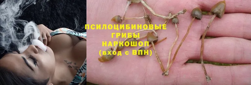 Псилоцибиновые грибы Magic Shrooms  Североморск 